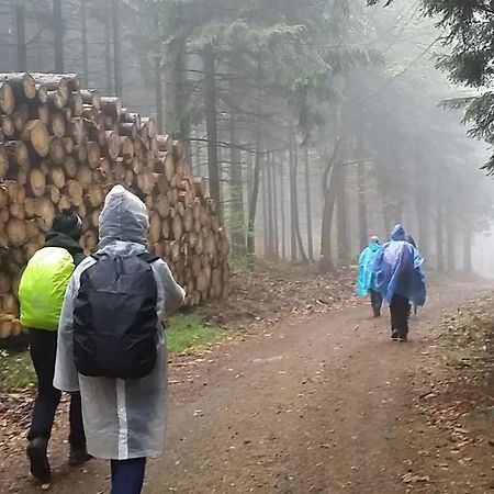 Urlaubsdomizil Am Toepfer - Ferienwohnungen In Olbersdorf Εξωτερικό φωτογραφία