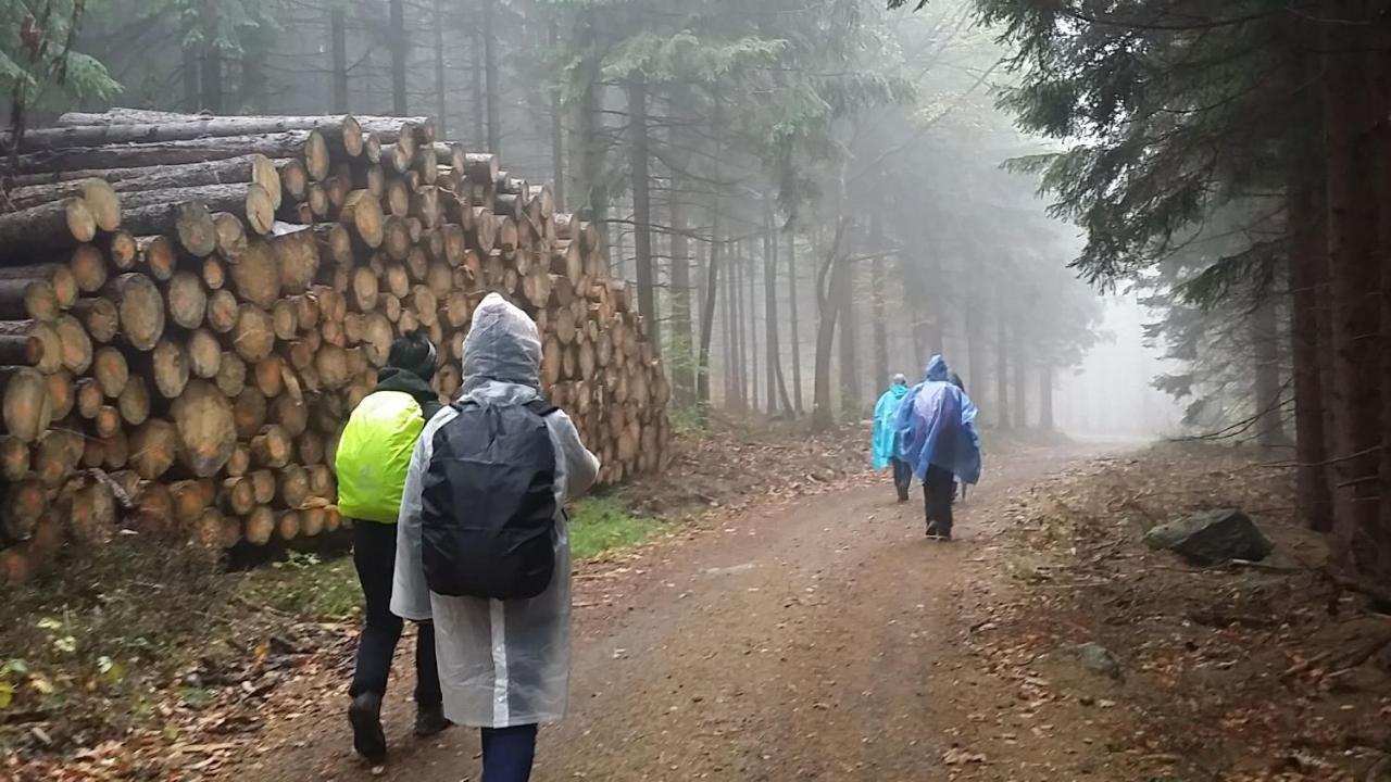 Urlaubsdomizil Am Toepfer - Ferienwohnungen In Olbersdorf Εξωτερικό φωτογραφία