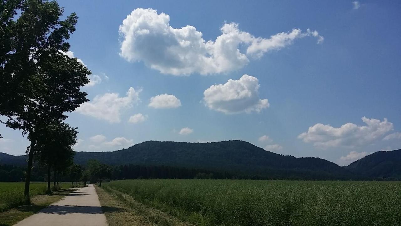 Urlaubsdomizil Am Toepfer - Ferienwohnungen In Olbersdorf Εξωτερικό φωτογραφία