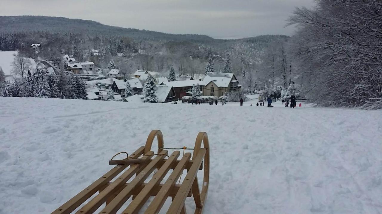 Urlaubsdomizil Am Toepfer - Ferienwohnungen In Olbersdorf Εξωτερικό φωτογραφία