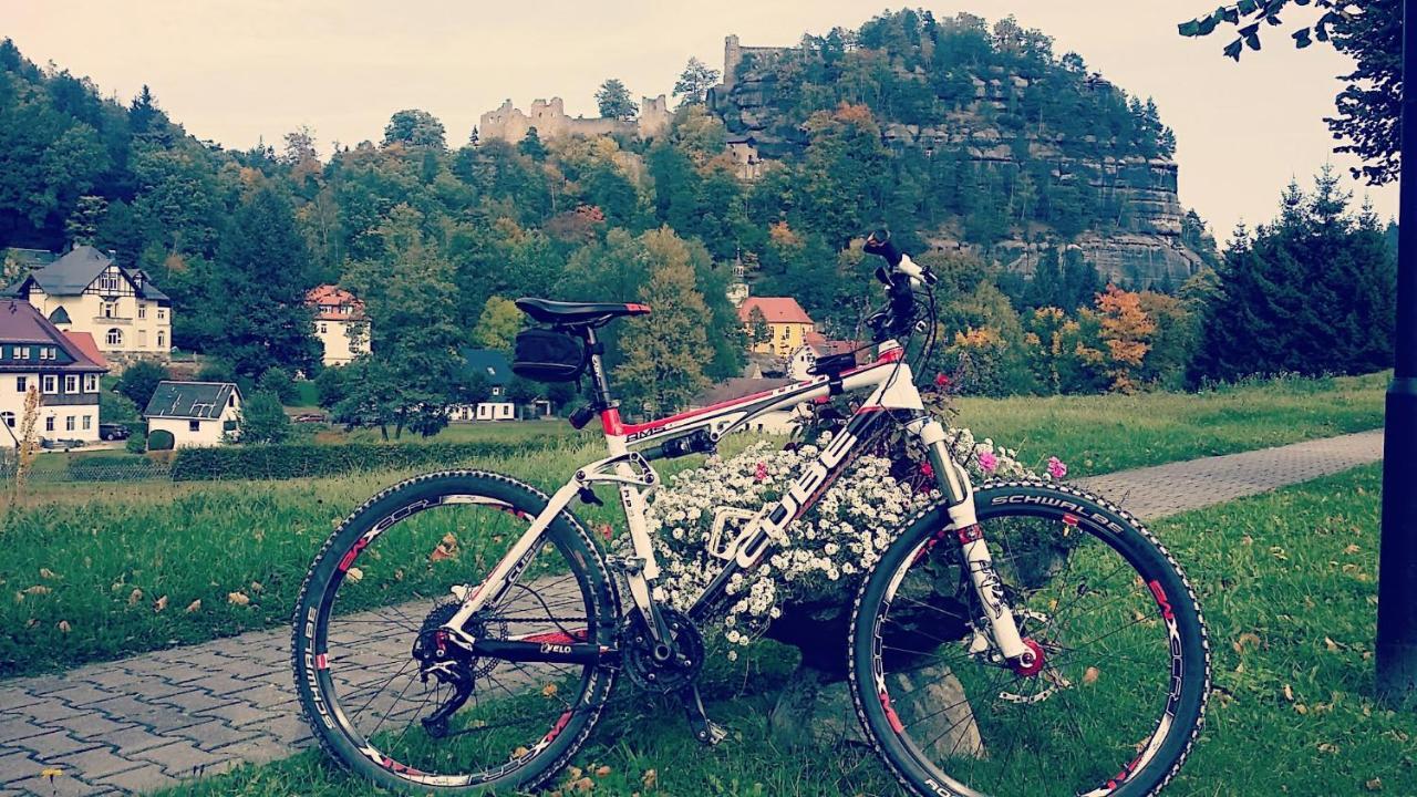 Urlaubsdomizil Am Toepfer - Ferienwohnungen In Olbersdorf Εξωτερικό φωτογραφία