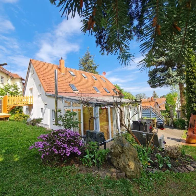 Urlaubsdomizil Am Toepfer - Ferienwohnungen In Olbersdorf Εξωτερικό φωτογραφία